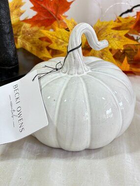 Becki Owens Terracotta White Wash Glaze Halloween Harvest Pumpkin Home Decor New